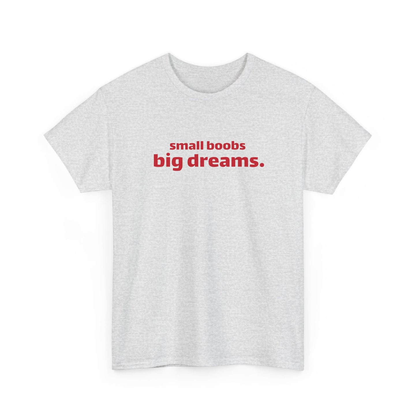 Small Boobs Big Dreams T-Shirt