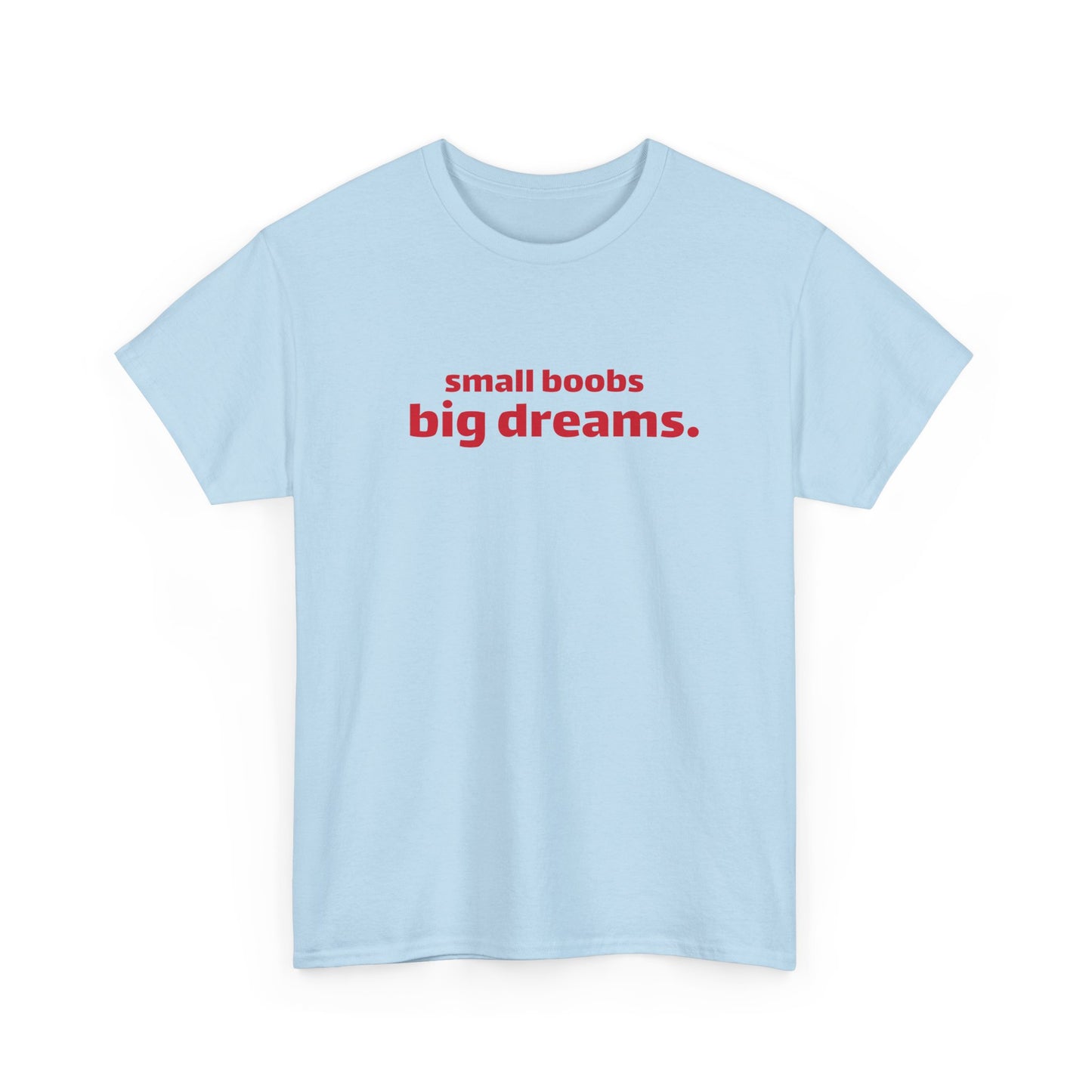 Small Boobs Big Dreams T-Shirt